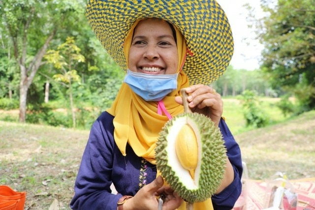 Pattani luring China with its durian gems Pattani luring China with its durian gems