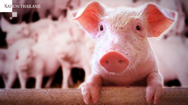 Swine breeders asked to limit prices Swine breeders asked to limit prices