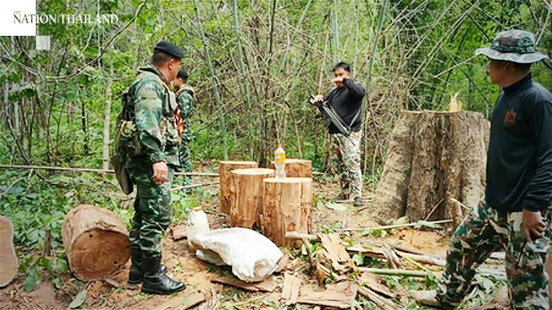 Man arrested for allegedly killing Tak national park ranger Man arrested for allegedly killing Tak national park ranger