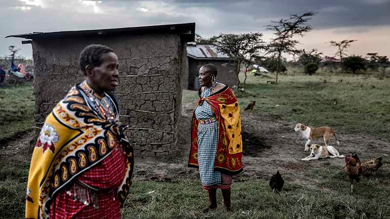 Coronavirus is crushing tourism - and cutting off a lifeline for wildlife Coronavirus is crushing tourism - and cutting off a lifeline for wildlife