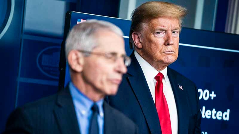 Rancor between scientists and Trump allies threatens pandemic response as cases surge Rancor between scientists and Trump allies threatens pandemic response as cases surge