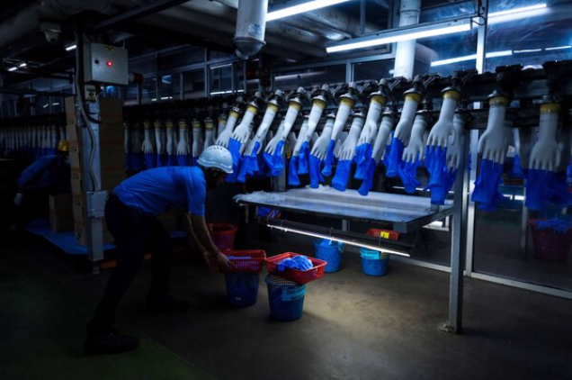 Glove maker stock mania in Malaysia outpaces even Tesla Glove maker stock mania in Malaysia outpaces even Tesla