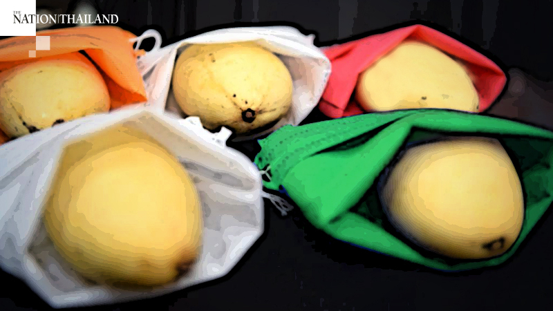 Thailand unwraps new invention to boost fruit crops Thailand unwraps new invention to boost fruit crops