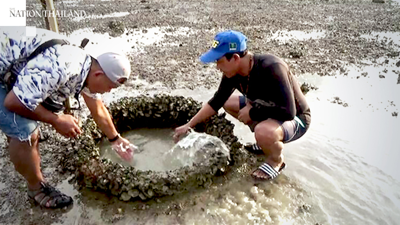 Freshwater well in receding seawater a tourist attraction in Trang Freshwater well in receding seawater a tourist attraction in Trang