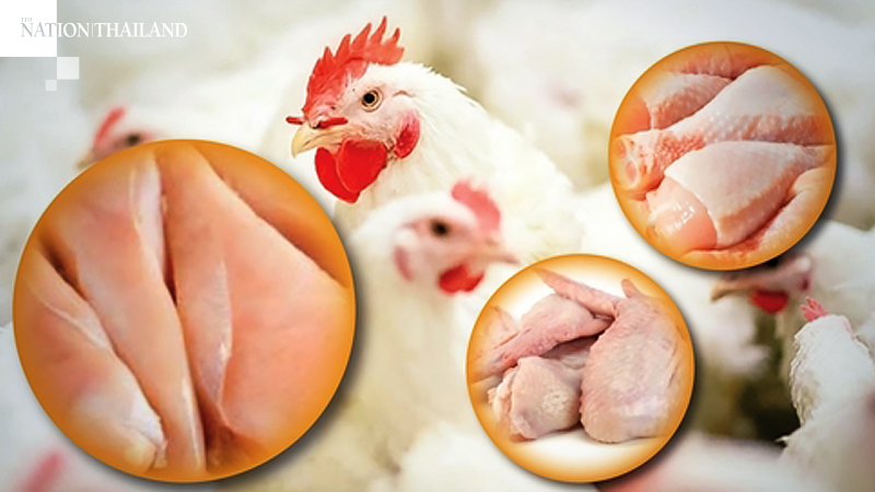 Thai chicken industry cuts production as global demand drops Thai chicken industry cuts production as global demand drops