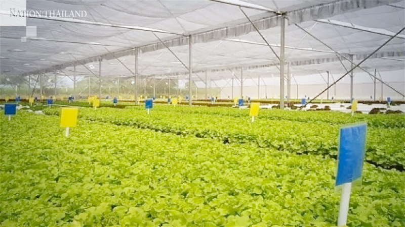 Govt agency to promote organic farming Govt agency to promote organic farming