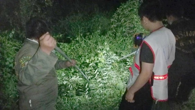 Wilderness rescue team fails in mission to save injured leopard cat Wilderness rescue team fails in mission to save injured leopard cat