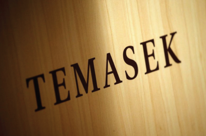 Temasek says it has referred the posts to Facebook.PHOTO: REUTERS