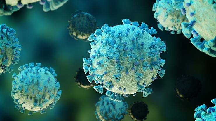 Roche rapid test can detect Sars-CoV-2 antibodies, pinpointing cases of infection Roche rapid test can detect Sars-CoV-2 antibodies, pinpointing cases of infection