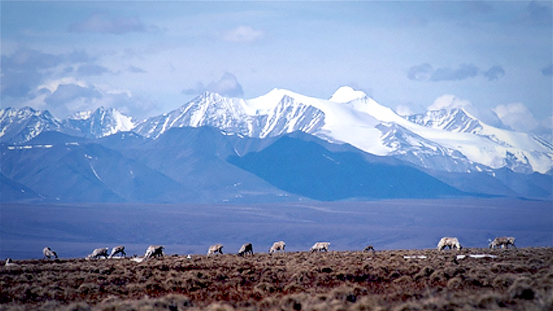 Trump finalizes drilling plan for iconic Arctic National Wildlife Refuge Trump finalizes drilling plan for iconic Arctic National Wildlife Refuge