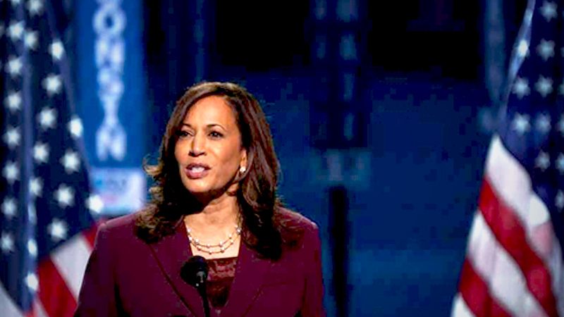 Sen. Kamala Harris became the first Black woman and Asian American to be nominated for vice president by a major party Wednesday in Wilmington, Del. She laid out 