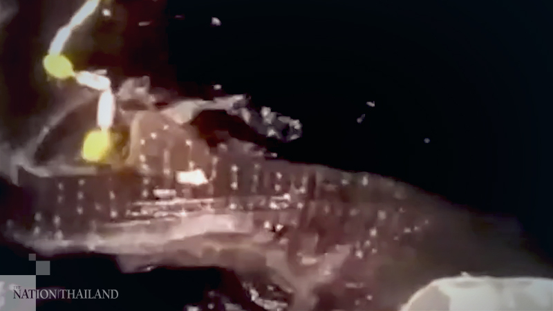Fishing crew let whale shark escape from their net Fishing crew let whale shark escape from their net