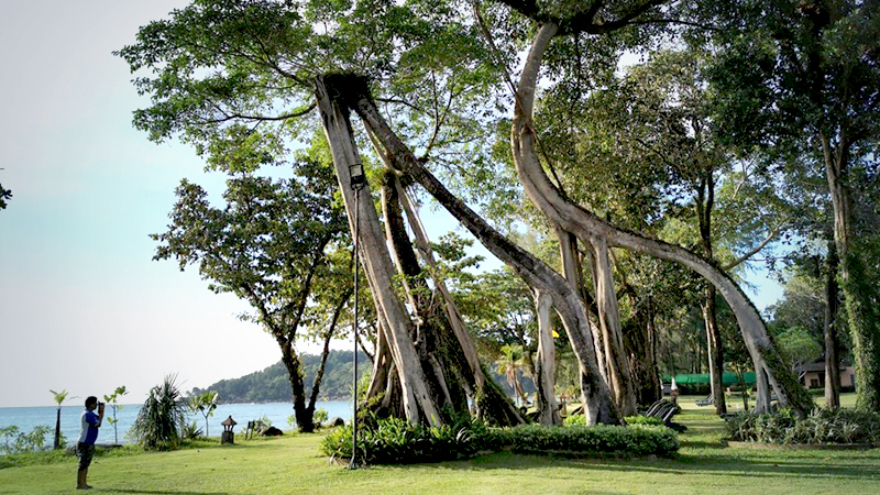 Jungle paradise in Khao Lak takes concrete steps to preserve nature Jungle paradise in Khao Lak takes concrete steps to preserve nature