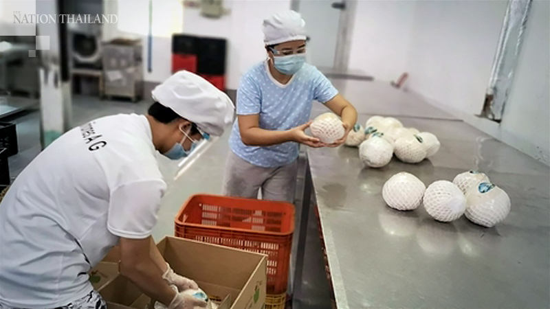 Trade between China, Asean expands despite pandemic Trade between China, Asean expands despite pandemic