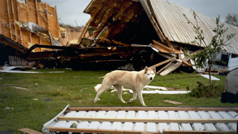 Laura reduced some coastal Louisiana homes to cement slabs, nearly consumed entire towns Laura reduced some coastal Louisiana homes to cement slabs, nearly consumed entire towns