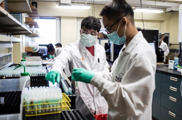 Technicians process coronavirus saliva tests at the Waksman Institute of Microbiology in Piscataway, N.J. CREDIT: photo for The Washington Post by Bryan Anselm.