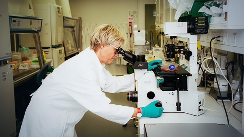 Drugs that fight diabetes and obesity may treat Covid-19 Drugs that fight diabetes and obesity may treat Covid-19