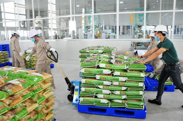 Vietnamese rice takes bite out of global market Vietnamese rice takes bite out of global market