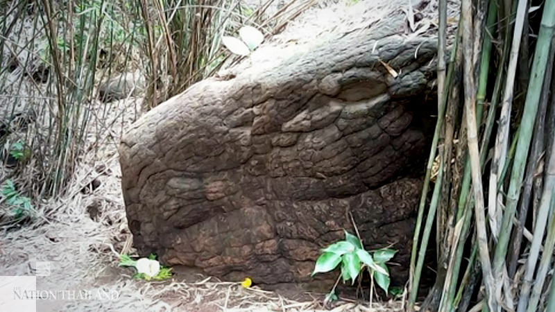 Vandalism closes famous ‘snake’ cave in Bueng Kan Vandalism closes famous ‘snake’ cave in Bueng Kan