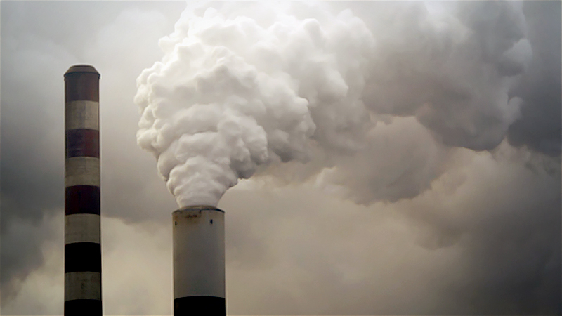 JPMorgan, Morgan Stanley join call for U.S. carbon pricing JPMorgan, Morgan Stanley join call for U.S. carbon pricing