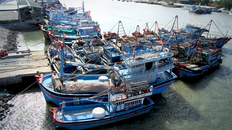 Stronger measures needed to combat IUU fishing: Vietnam Deputy PM Stronger measures needed to combat IUU fishing: Vietnam Deputy PM