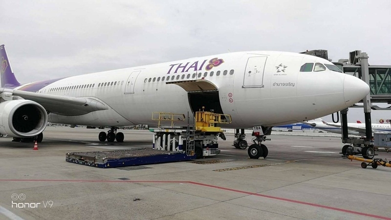 THAI flies home 431 Thais from Hong Kong and Taipei THAI flies home 431 Thais from Hong Kong and Taipei