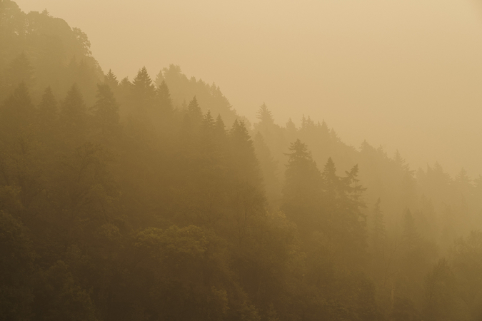 Smoke blankets the tree line Sunday in Troutdale, Ore., east of Portland. MUST CREDIT: Photo by Mason Trinca for The Washington Post.