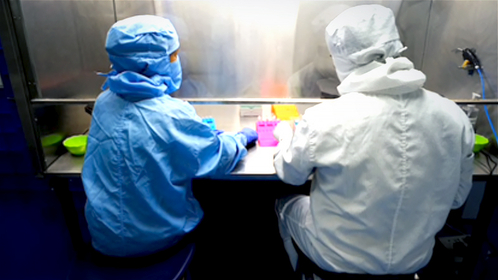 Lilly Says Antibody Therapy May Lower Covid Hospitalizations