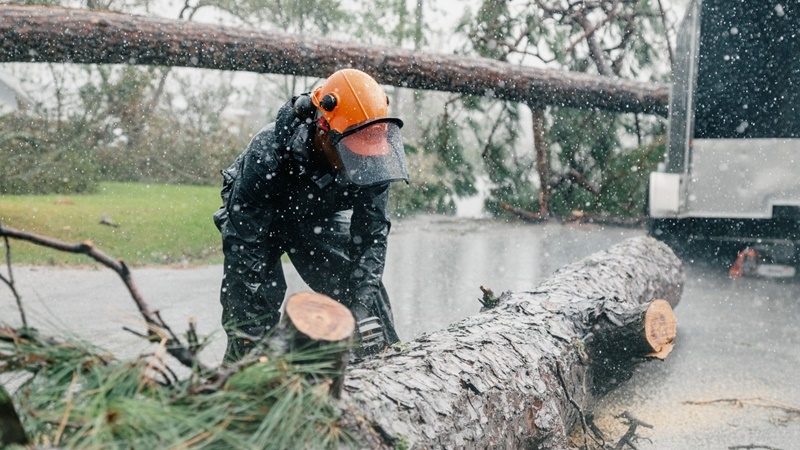 Summer of U.S. disasters set grim records, left trail of ruin Summer of U.S. disasters set grim records, left trail of ruin