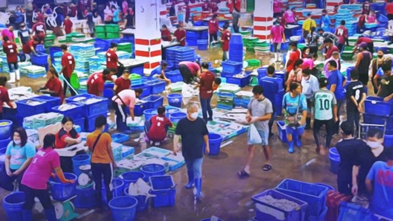 Ban on sale of aquatic animals from Myanmar due to Covid-19 fears Ban on sale of aquatic animals from Myanmar due to Covid-19 fears