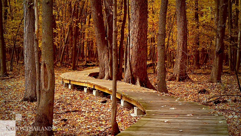 Autumn arrives in Thailand Autumn arrives in Thailand
