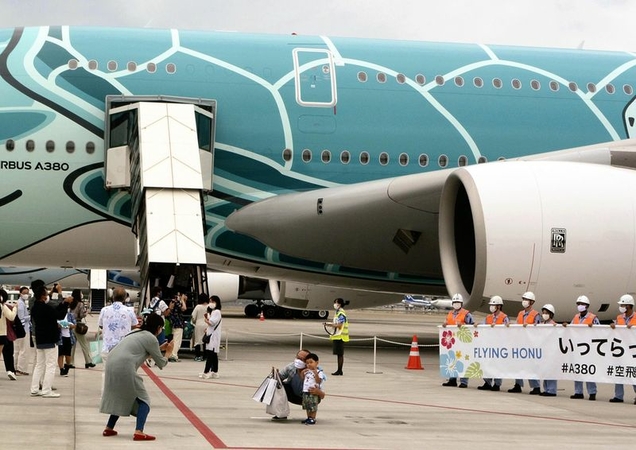 Airlines eye scenic flights to cover losses amid pandemic in Japan Airlines eye scenic flights to cover losses amid pandemic in Japan