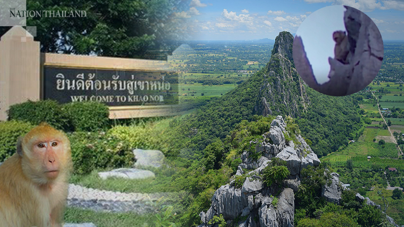 Visitors rush to Nakhon Sawan mountain after legendary monkey king 'sighted' Visitors rush to Nakhon Sawan mountain after legendary monkey king 'sighted'