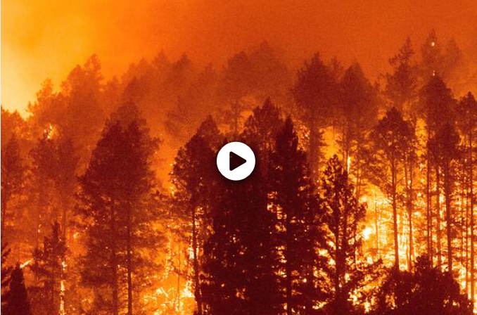 California wildfires erupt in wine country, damaging Santa Rosa and prompting evacuations California wildfires erupt in wine country, damaging Santa Rosa and prompting evacuations