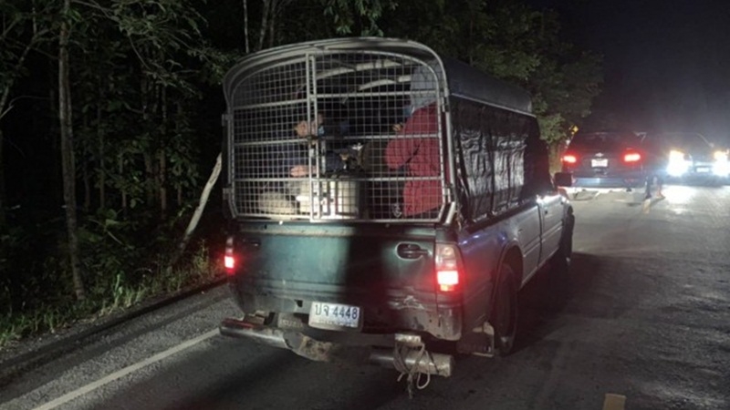 19 Thais held for crossing Myanmar border 19 Thais held for crossing Myanmar border