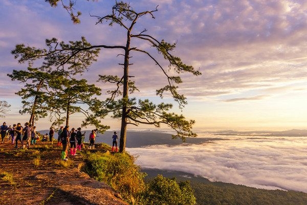 Phu Kradueng National Park reopens after 6 months in lockdown Phu Kradueng National Park reopens after 6 months in lockdown
