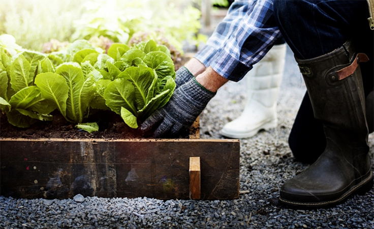 Ways to be eco-responsible during a pandemic Ways to be eco-responsible during a pandemic