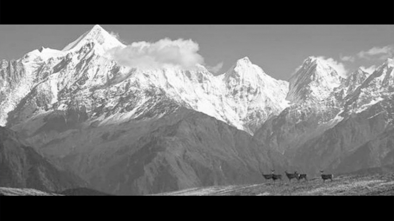 India's Himalayan appeasement India's Himalayan appeasement