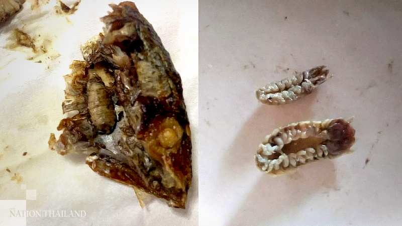 Woman about to feast on fish finds ‘tongue-eater’ got their first Woman about to feast on fish finds ‘tongue-eater’ got their first