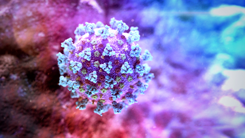 MIT peer reviews refute lab origin of coronavirus MIT peer reviews refute lab origin of coronavirus