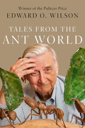 Book World: Eight decades of observing ants and their amazing adventures Book World: Eight decades of observing ants and their amazing adventures