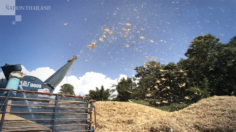 B Grimm eyes biomass, natural gas industry B Grimm eyes biomass, natural gas industry