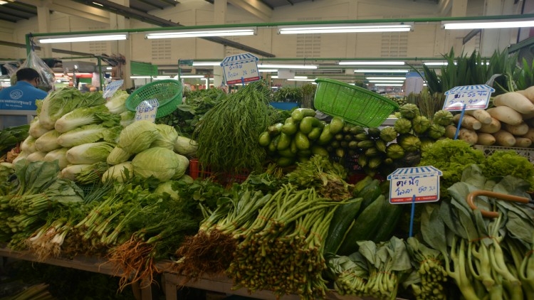 Vegetable prices leap 5-10% after farms hit by flooding Vegetable prices leap 5-10% after farms hit by flooding