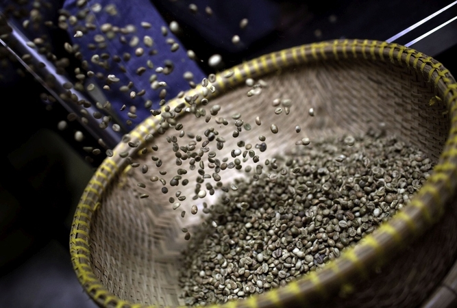 La Nina deluge seen delaying harvest in top robusta supplier La Nina deluge seen delaying harvest in top robusta supplier