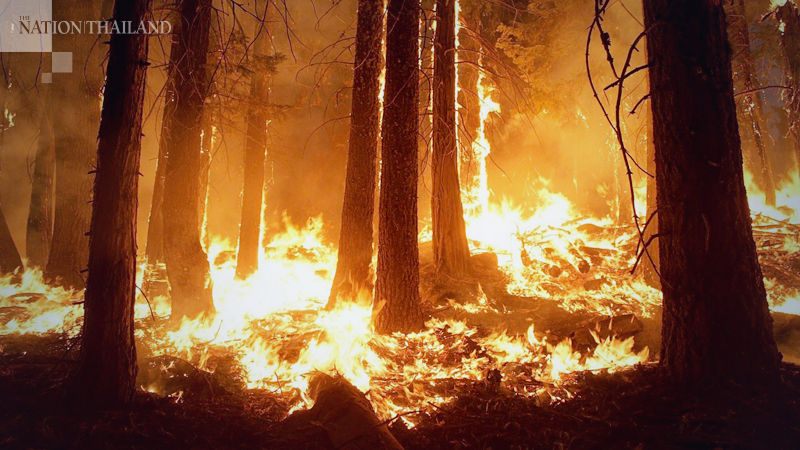 Colorado wildfire grows by at least 140,000 acres in a day, forcing hundreds to flee