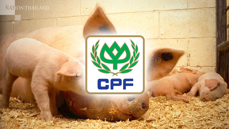 CPF shareholders endorse Bt131bn China swine deal CPF shareholders endorse Bt131bn China swine deal