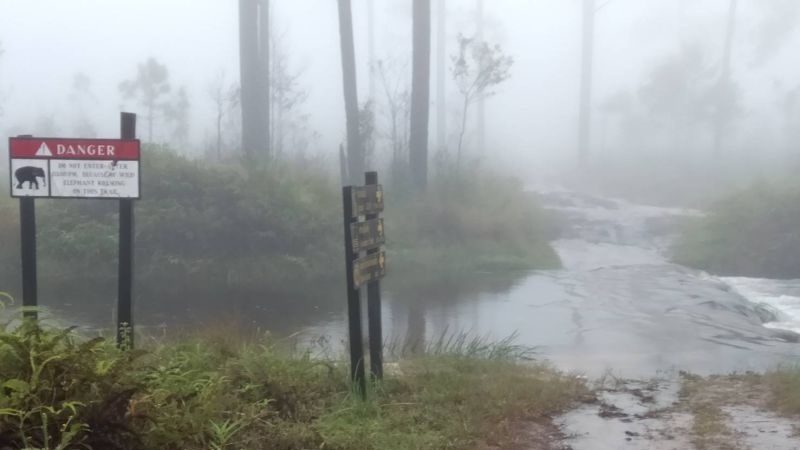 Tourists urged to stay away as Molave makes Phu Kradueng mountain dangerous Tourists urged to stay away as Molave makes Phu Kradueng mountain dangerous