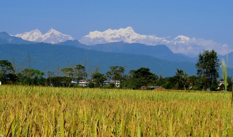 Snow-capped mountains as seen from Chitwan Snow-capped mountains as seen from Chitwan