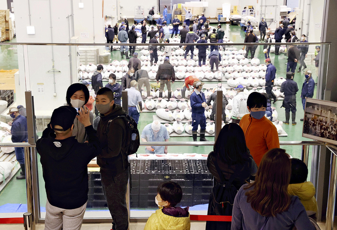 Public viewing of Tokyo tuna auctions resumes Public viewing of Tokyo tuna auctions resumes