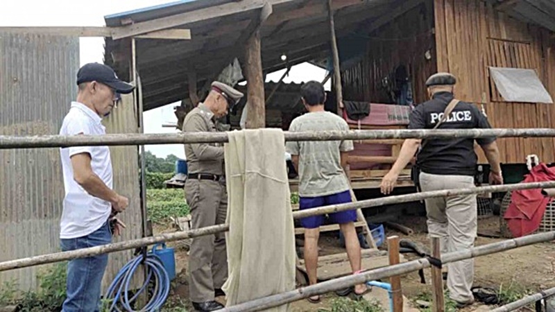 800_e67b5d0a596c484.jpg?v=1604476093